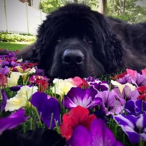 Meet your Posher, Helena